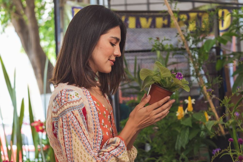 ABONO SpecialGreen macetas y jardineras